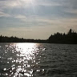 Meet your Posher, Elsa